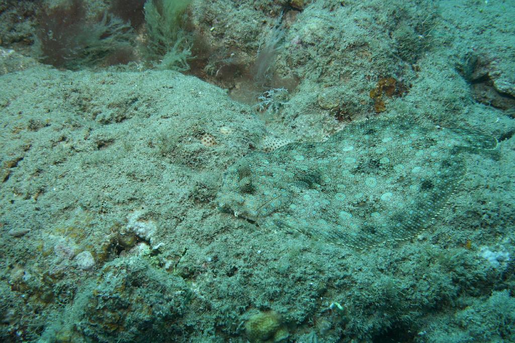 2008-05-17 15-40-11 H.JPG